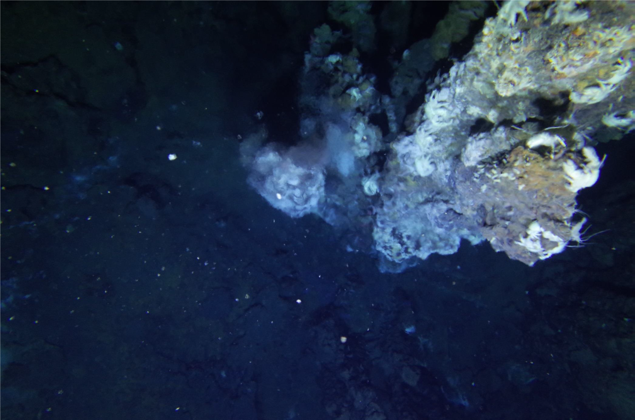 チムニー（海底熱水噴出孔）の写真撮影