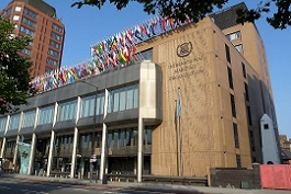 Center for International Cooperation