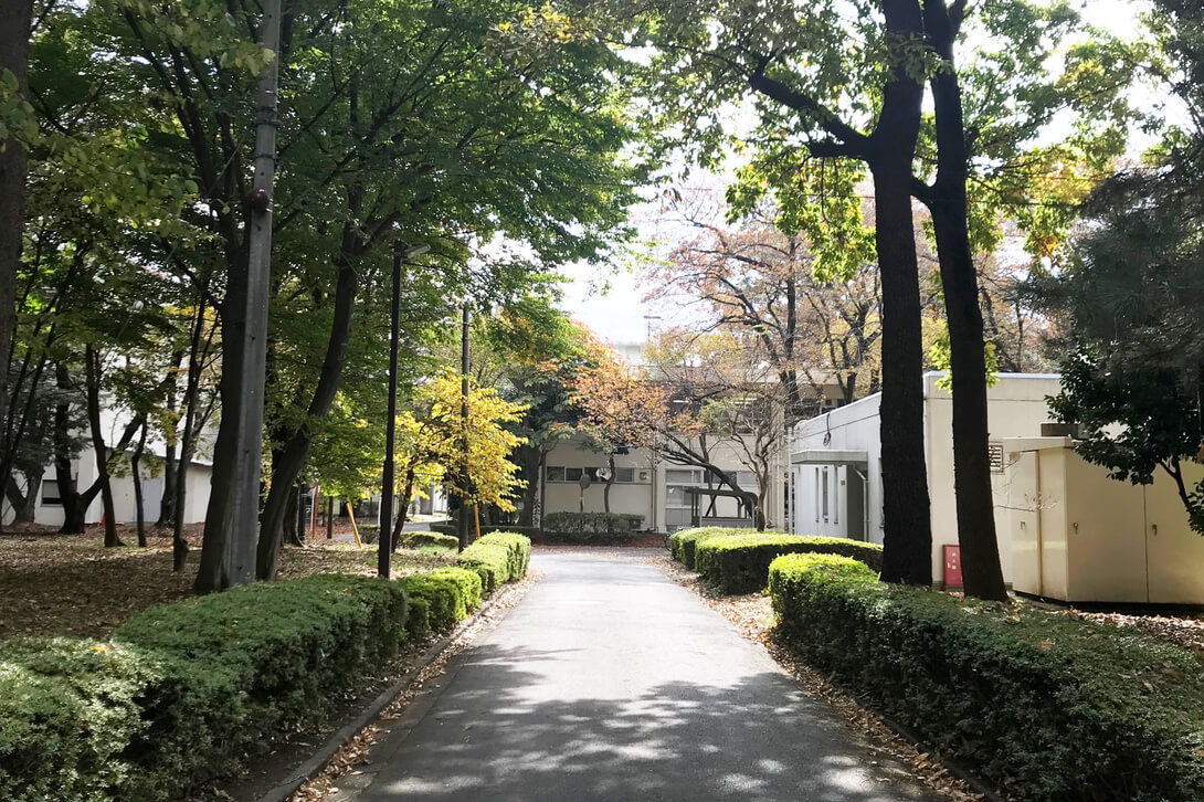 図書館